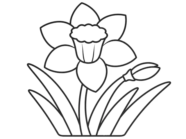 Daffodil black-and-white printable coloring page for Toddler, simple daffodil with a trumpet center and long leaves