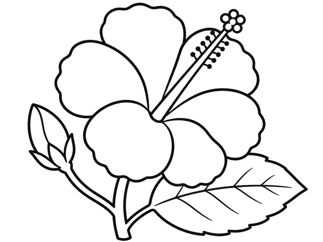 Hibiscus black-and-white printable coloring page for Preschool, hibiscus with five broad petals and a clear central column