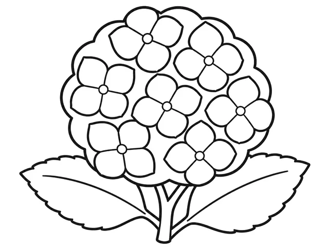Hydrangea black-and-white printable coloring page for Preschool, Clustered hydrangea blooms with wide leaf shapes.