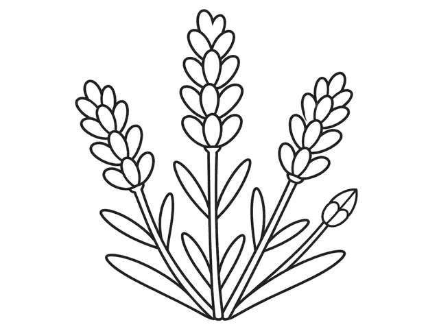 Lavender black-and-white printable coloring page for Kids, Upright lavender sprigs with simple blossom clusters.