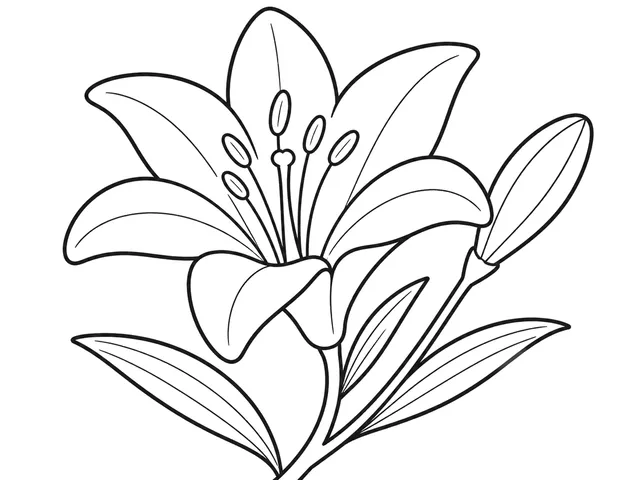 Lily black-and-white printable coloring page for Preschool, six-petal lily with long leaves and a clear center
