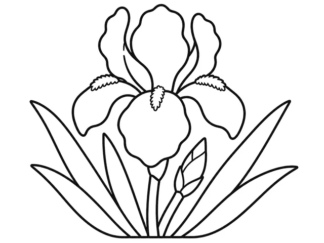 Iris black-and-white printable coloring page for Preschool, Iris with large petals and long leaves.