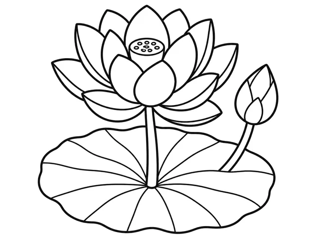 Lotus black-and-white printable coloring page for Preschool, lotus flower with layered petals above a broad round leaf