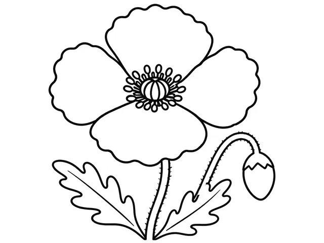 Corn Poppy black-and-white printable coloring page for Toddler, four-petal corn poppy with a round center and simple stem