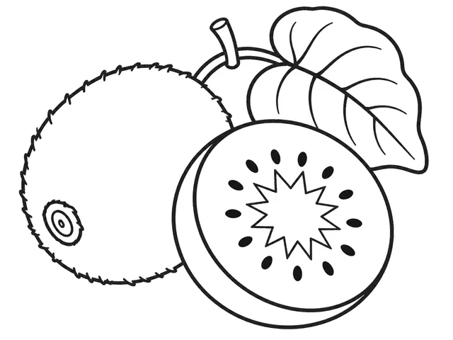 Kiwi black-and-white printable coloring page for Preschool, bold outlines and large easy-to-color shapes for a Kiwi coloring page