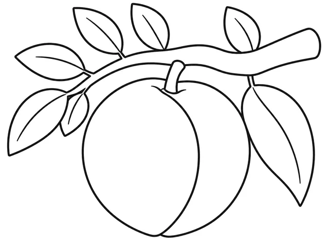Peach black-and-white printable coloring page for Toddler, Peach with a broad outline, seam, leaf, and stem.