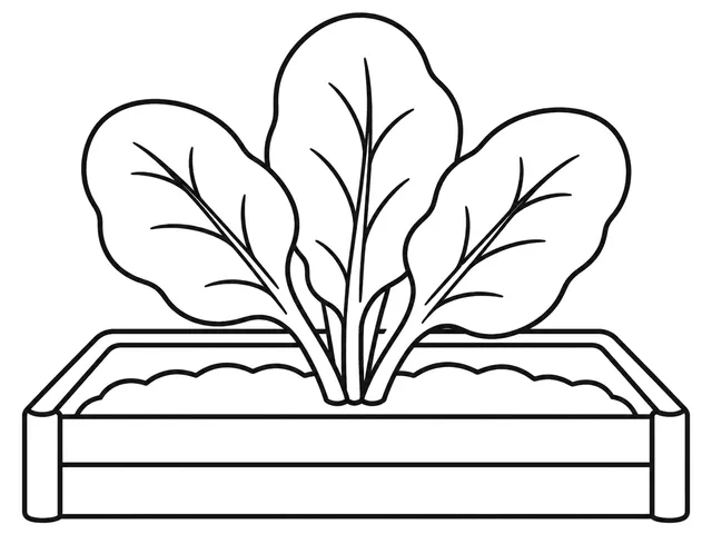 Spinach black-and-white printable coloring page for Toddler, Large spinach leaves with visible stems.