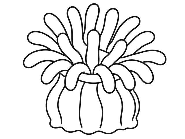 Sea Anemone black-and-white printable coloring page for Preschool, Anemone with a clear base and separated tentacles.
