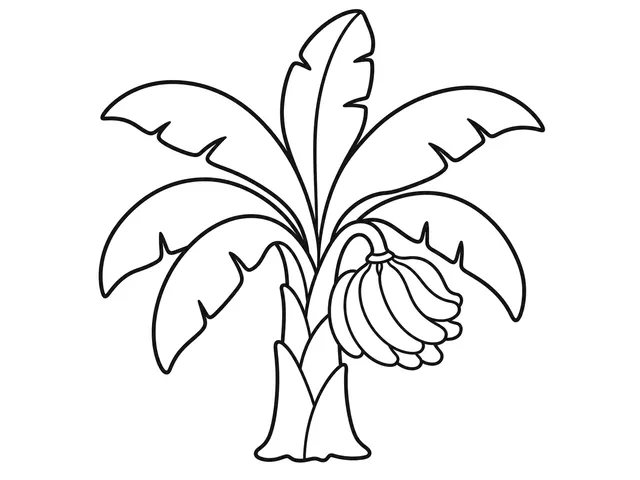 Banana Tree black-and-white printable coloring page for Preschool, banana tree with wide leaves and a large fruit bunch