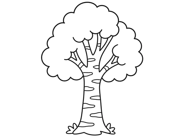 Birch Tree black-and-white printable coloring page for Toddler, Tall tree with a clear trunk and leafy crown.
