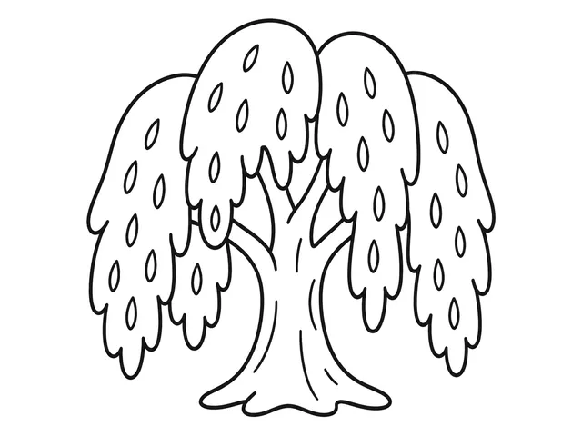 Willow Tree black-and-white printable coloring page for Preschool, willow tree with a broad trunk and long drooping branches