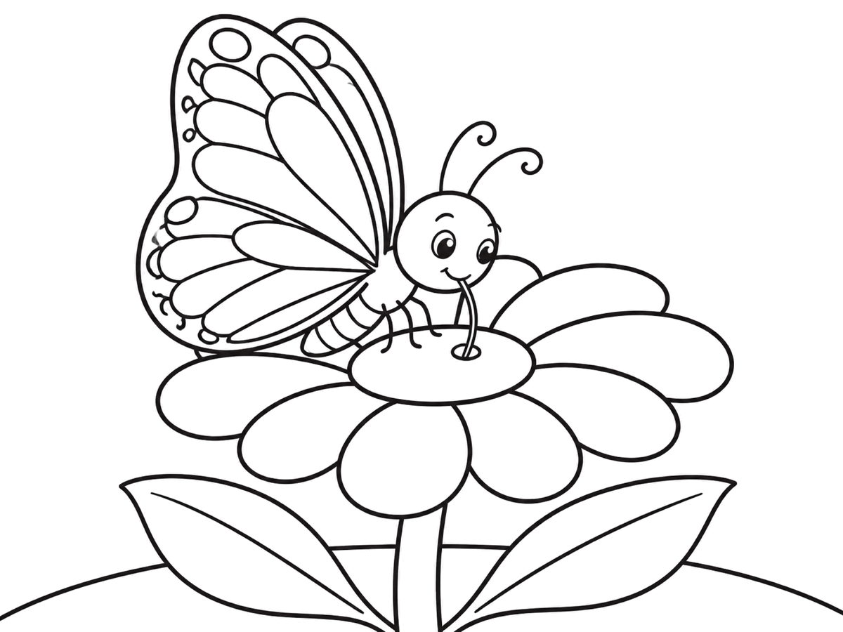 A newly emerged butterfly sips nectar from a flower in a printable butterfly life cycle coloring page.