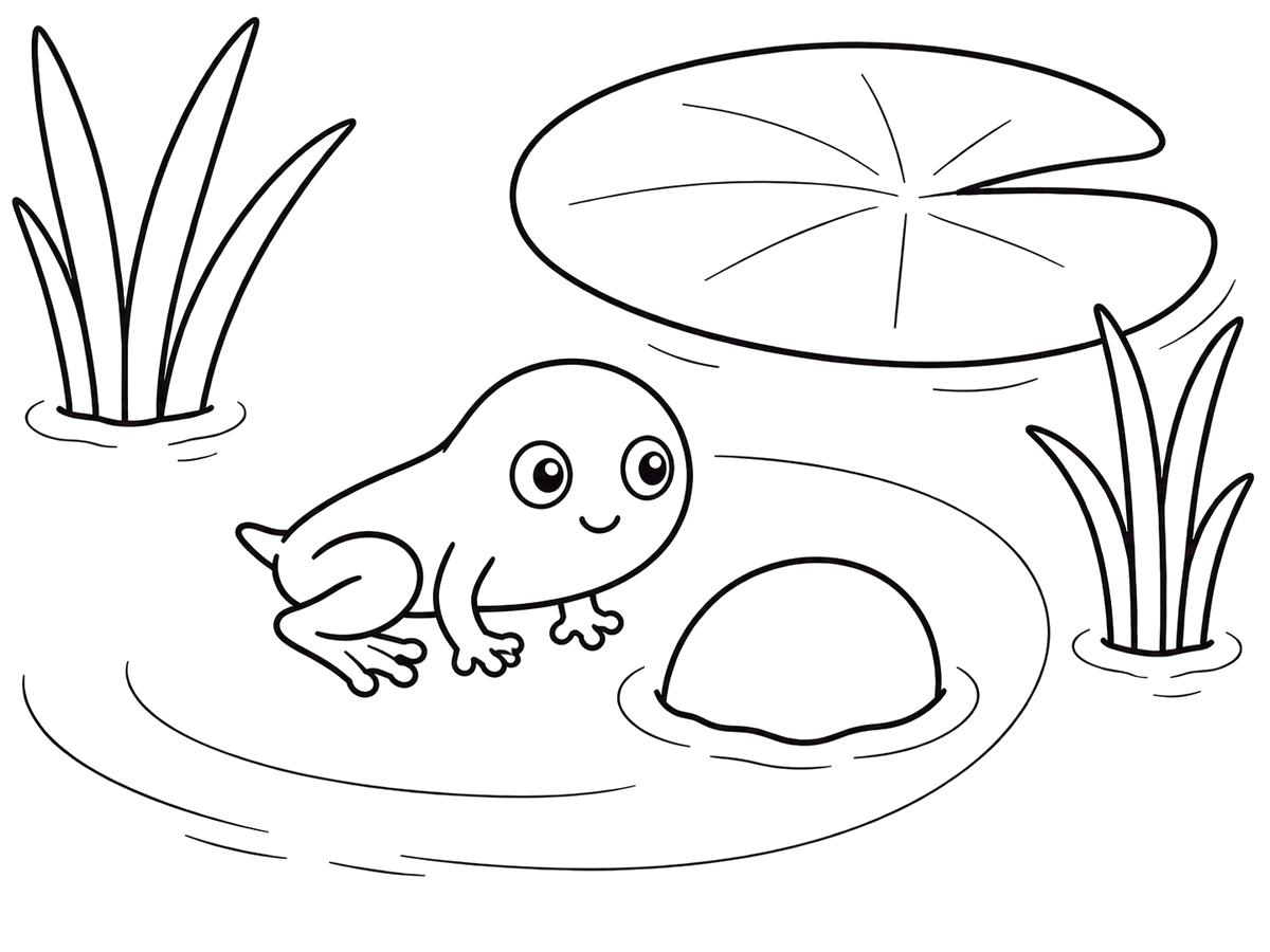 Froglet with a shrinking tail, printable coloring page