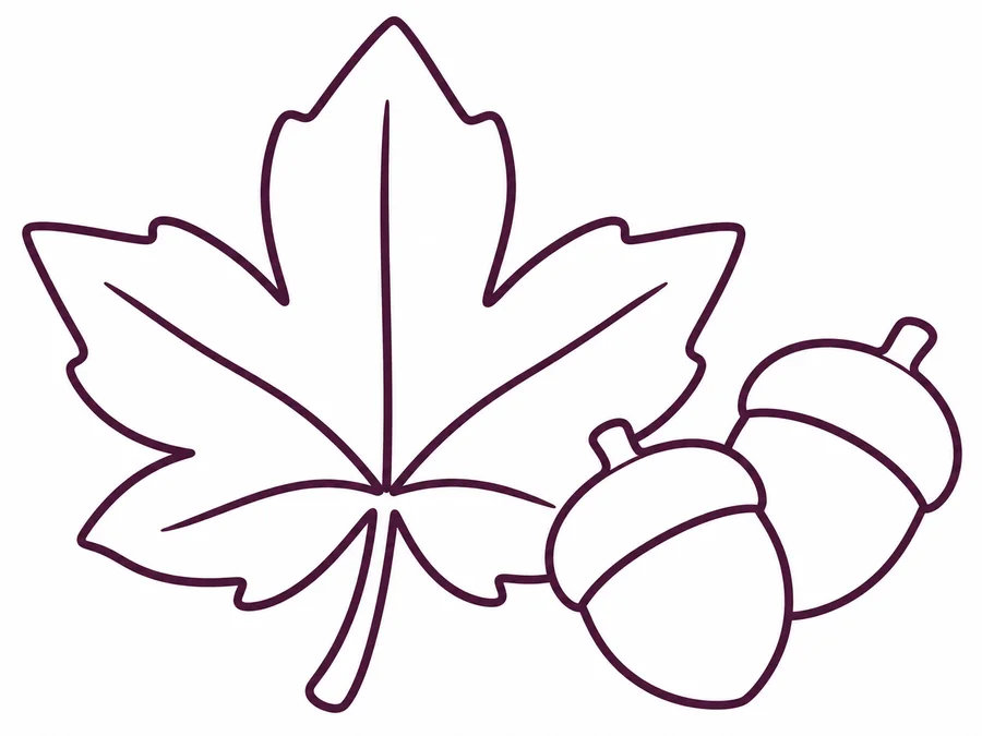 Autumn Maple Leaf coloring page with clear uncolored outlines