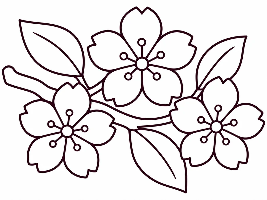 Cherry Blossoms coloring page with clear uncolored outlines