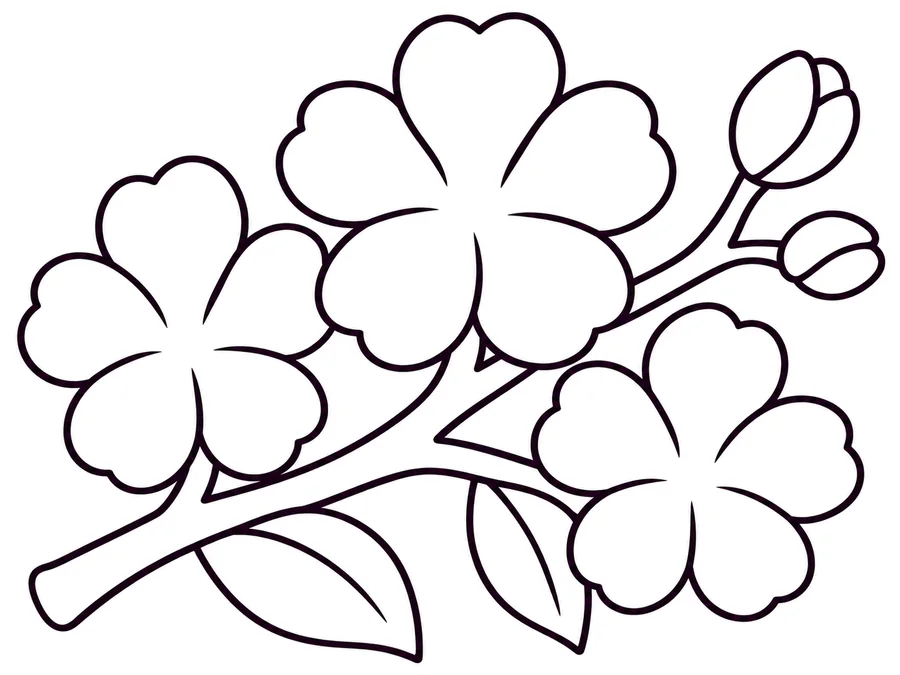 Peach blossom branch coloring page with clear uncolored outlines